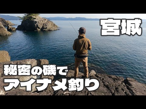 【宮城釣り】半島で見つけた秘密の磯でアイナメ釣り