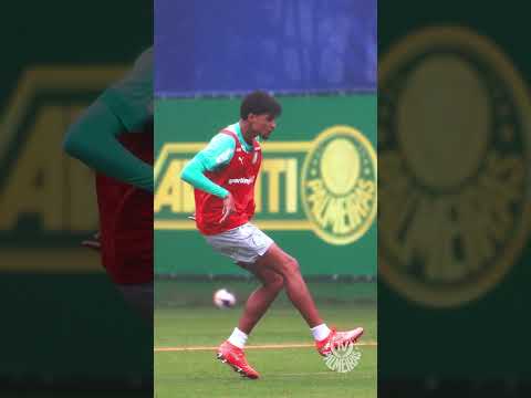 image para ilustrar o artigo