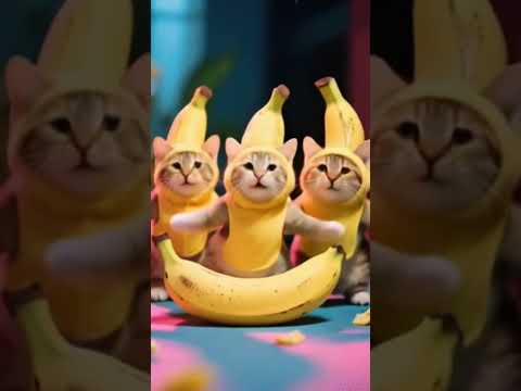 Kucing Joget Memakai Kostum Pisang #kucingjoget #cat #catdance #banana #pisang #fypシ #fypシ゚viral