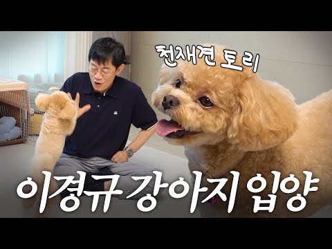 평생 강아지 50마리 키우고 결국 또 입양한 이경규 (천재견 토리, 원샷한솔)