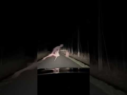 Skinwalker was spotted in Texas #ai #skinwalker #weird #funny #weirdcore #shorts #ytshorts