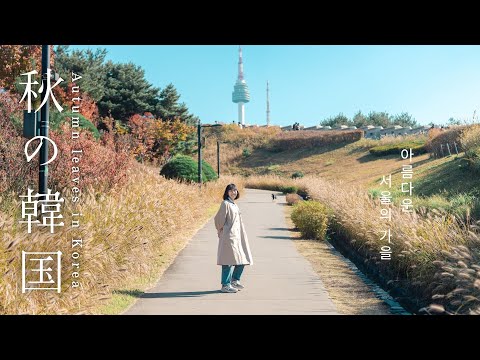 【韓国旅行】２日間でソウルを味わう🍁ノスタルジックな旅｜南大門市場、聖水洞、昌徳宮、ロッテマート