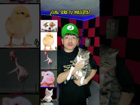 CUAL SERA TU MASCOTA SEGUN TU MEÑIQUE #shorts