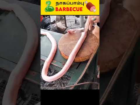 💥Snake Barbecue - நாகப்பாம்பு BBQ ⁉️😱 #snake #bbq #shorts