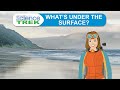 Ocean Facts and Concepts Assessment