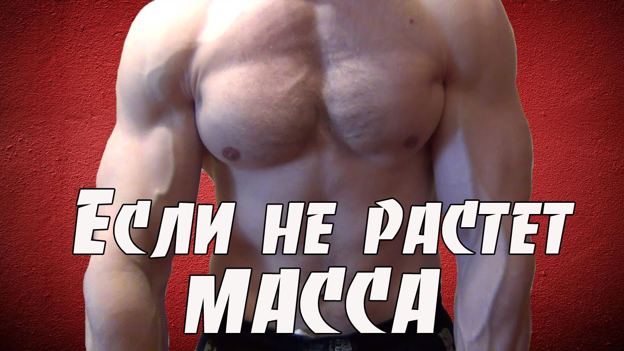 Что делать если не растет масса