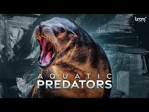 AQUATIC PREDATORS | Sound Effects | Trailer