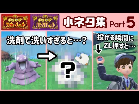 【ポケモンSV】ベトベターを洗剤で洗いすぎると可哀想な事に……ゲームに隠れた細かすぎる小ネタ集５【ポケットモンスター スカーレット・バイオレット】@レウンGameTV