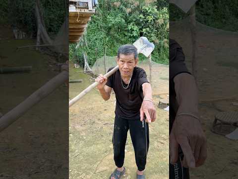 Định ăn quỵt bánh của cụ à….😺😺😺#shorts
