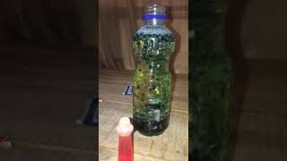 DIY lava lamp!