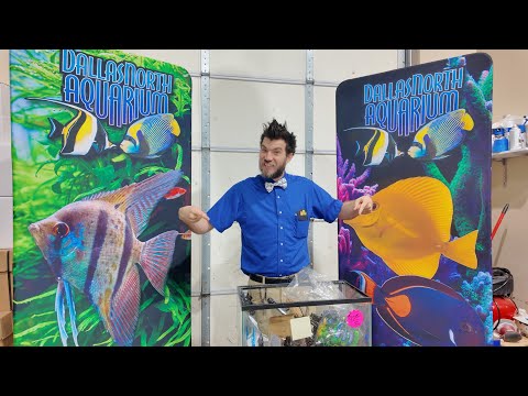 Josh's full demonstration on setting up a new plan Josh's full demonstration on setting up a new planted aquarium during the DFWAPC Plant Swap at Dalla