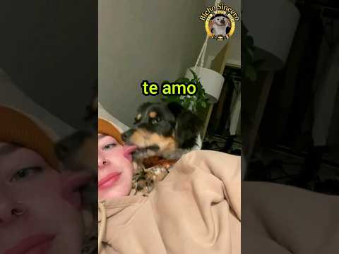 Ah É ASSIM❔🐶😳😡