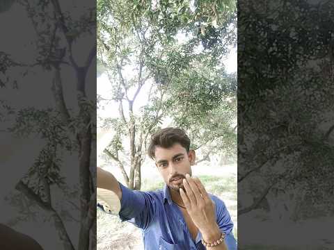 चार चमन्नी घोड़े पे #funny #remix #viralvideo #trending #funnyvideo #funnyshorts #viralshorts