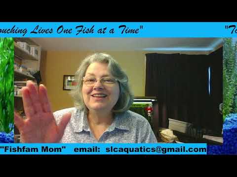 Tuesday Night with Susan for SLC Aquatics Website: http_//slcaquatics.org
Resource Page_ http_//slcaquatics.org/resource-page
email_ slcaquati