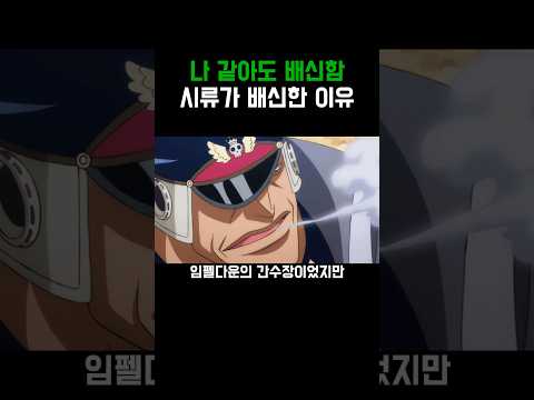 원피스)납득가는 배신사유
