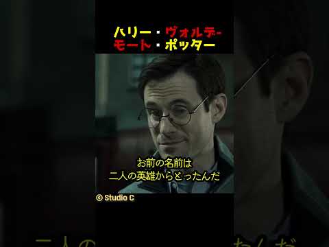 ハリー・ヴォルデモート・ポッター