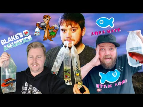 Buying Fish Online Vs. Fish Store (LIVE!!!) In this video, I have collaborated with TWO amazing Australian FishTuberS (Blake from Blake's Aquati