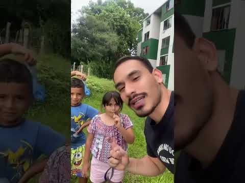 Nadie jaja