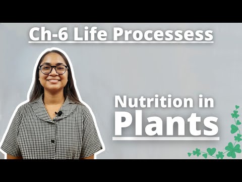 Ch-6 Life Processess L1 || REVISION🔥+ MCQ Explanation || Term-1 Exams || Class-10 Science Ch-6