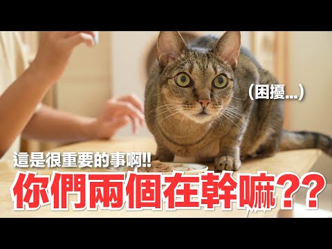 【好味小姐】你們兩個在幹嘛？？這是很重要的事啊！！｜好味商店EP34