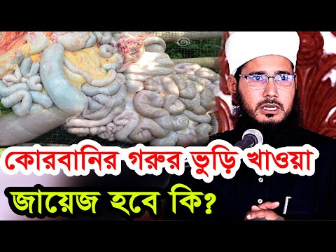 ৯৯%মানুষ জানে না ! কোরবানির গরুর ভুড়ি খাওয়া জায়েজ কি ? গোলাম মর্তুজা নূরী 01735558642