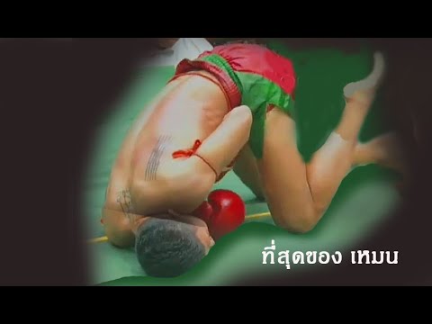 เหมน ไม่ได้กินข้าว !  ตีมวยไทยร่วง..โดนเอาคืน ดิ้นเป็นเห็บ  (ท้าวกาดำ พากย์ไทย+อีสาน)