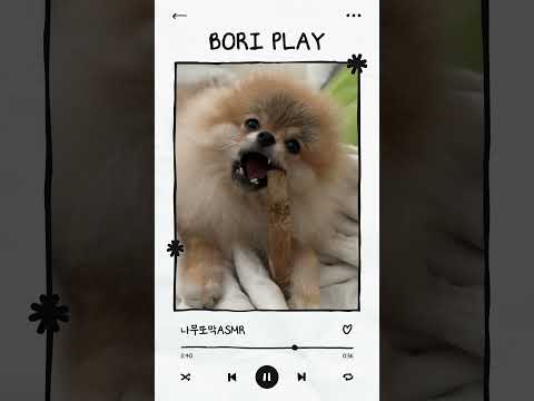 냐미냐미 나무또막