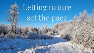 No New Year’s resolutions — this is what I choose instead | Winter in southern Sweden
