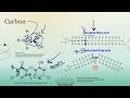 Biochemical Processes and Reactions