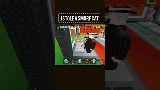 #6x6 #smurfcat #677 #robloxgames