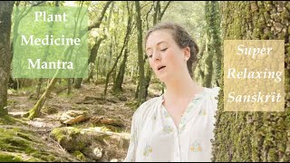 Plant Medicine Mantra - Super Relaxing Sanskrit