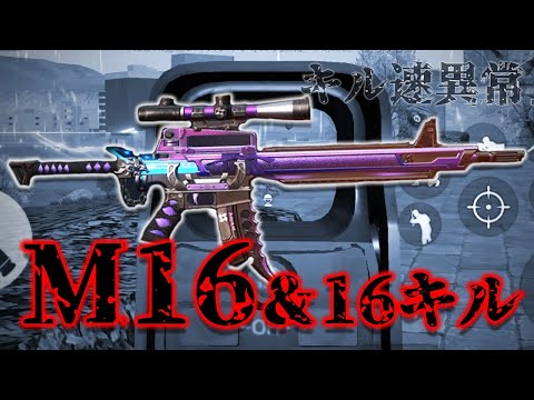 【荒野行動】こやつのキルスピードは異常！！！M16＆16キルを刻んでいく神試合。