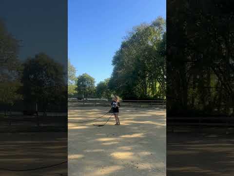 This is for the parents - make teaching them how to lunge a horse double as a way to tire them out!