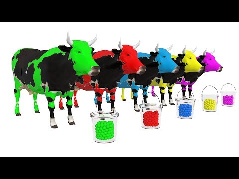 Impara i Colori con animali filastrocche canzoni per bambini #108
