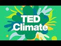 Cooling Solutions and Climate Impact