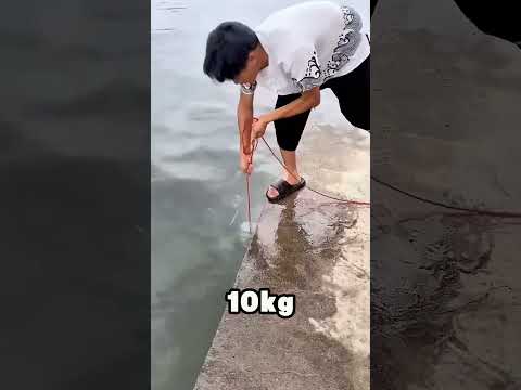 NAJPOTĘŻNIEJSZY MAGNES NA ŚWIECIE!🧲💪🌊