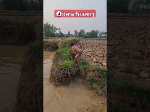 วิ่งซิรอไร #funny #happy #comedy #ขำขัน #คลายเครียด #ตลกฮาฮา #hahaha​