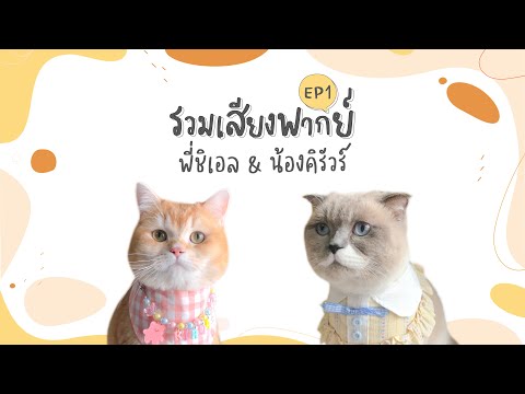 รวมเสียงพากย์ชิเอลกับคิรัวร์ EP1 | ชิเอลแมวมึน คิรัวร์ตัวป่วน