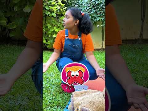 Kids Learn To Treat Dog 🐕