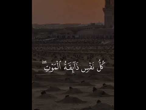 احترم القران دقيقة وخلي اشتراك للقناه ولايك واكسبلور #القران #foryou #اكسبلور #يوتيوب #اشتراك #د