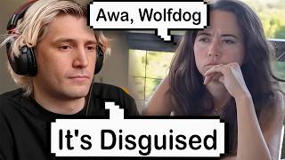 xQc Disgusted w/ Streamers Who Beg for Subs | Maya Reveals Heartbreaking News