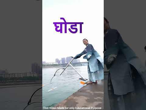 पानी पर दोड़ने वाला घोडा #facts #shortss