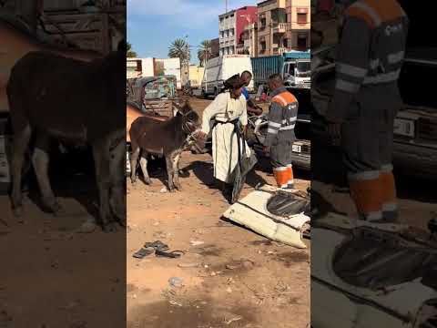 ุฑูุจ ููุง ุจุงุจ ูุฏ ุฎููุง ุจุฒุงุงู๐๐๐