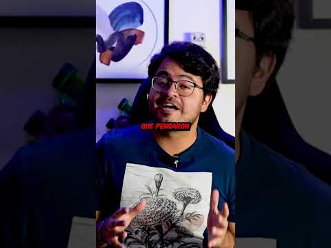 Este monje congelado sigue vivo despues de 200 años