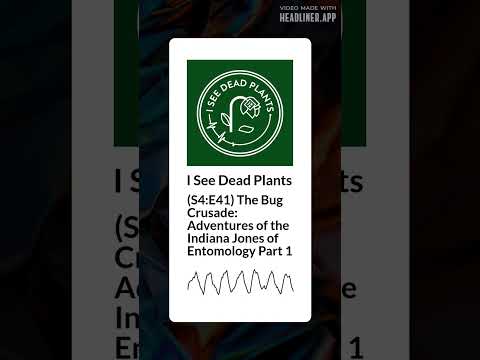 (S4:E41) The Bug Crusade: Adventures of the Indiana Jones of Entomology Part 1 | I See Dead Plants