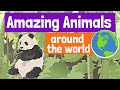 Animal Groups and Habitats