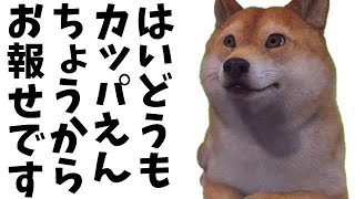 カッパえんちょうからお礼とお詫びとお報せです...今迄長い間本当にありがとうございました！