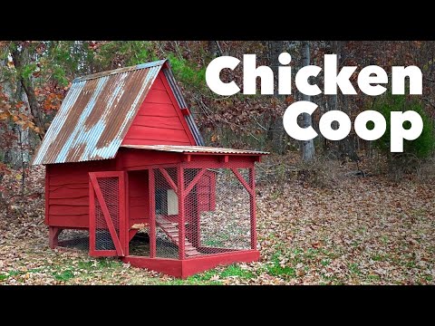 Chicken Coop Tour - 2023 - DIY Homestead