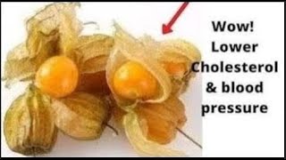 Lower cholesterol, blood sugar and improve memory