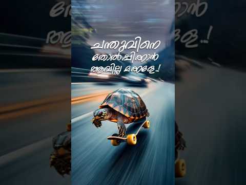 Chanduvine Tholppikkaan Aavilla Makkale..! #ai #funny #shorts #mammootty #shortsfeed #animals #cbi